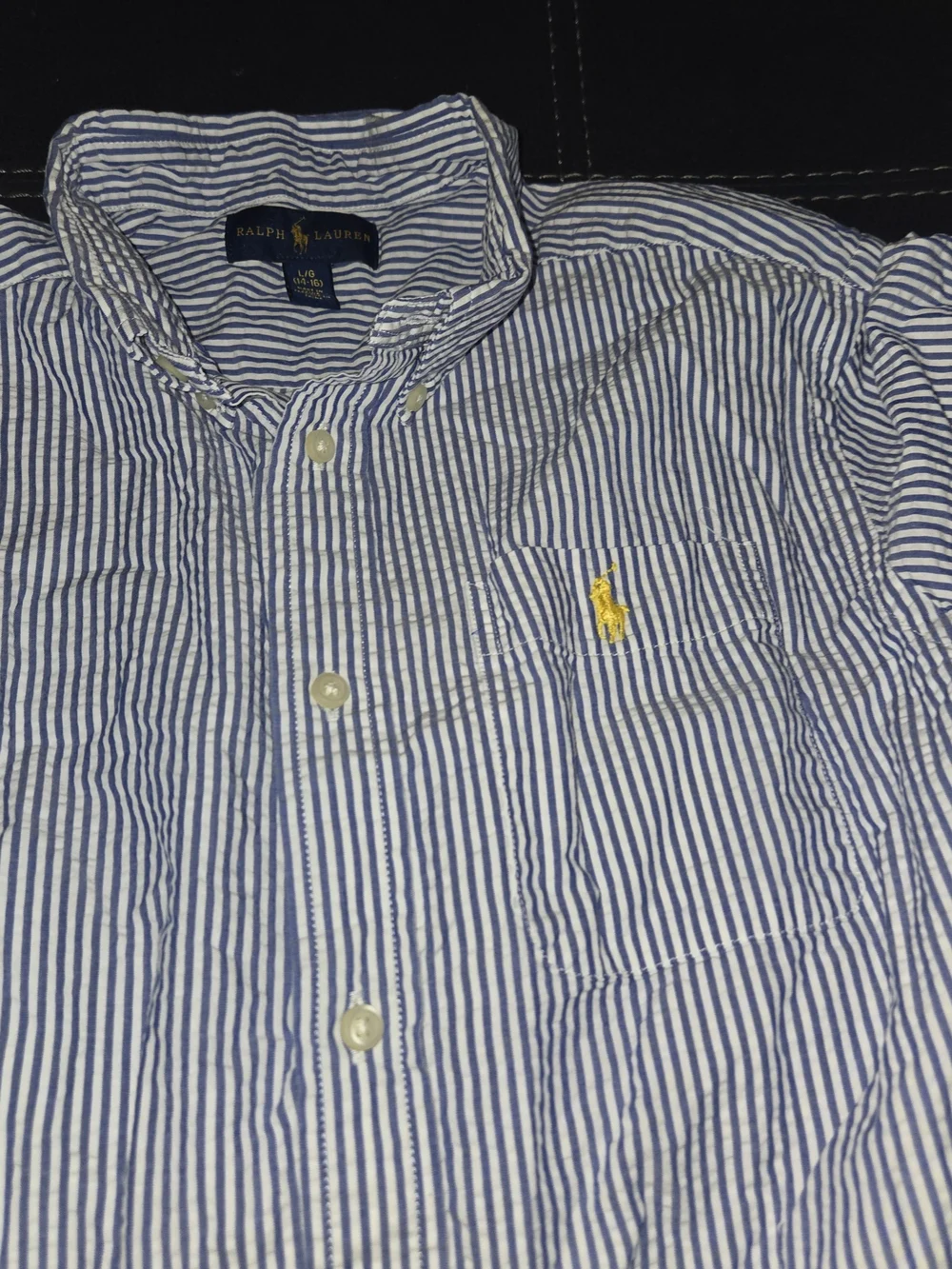 Ralph Lauren Blue and White Striped Casual Button-Down Shirt